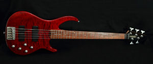 Peavey Fury V 5 corde