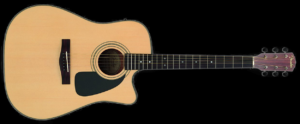 Fender Dg 10